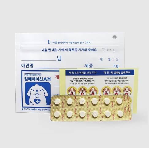  부산 밀베마이신 판매하는 곳 #행복약국 #부산동물약국 #콜리쉽독셰퍼드하운드 사상충약