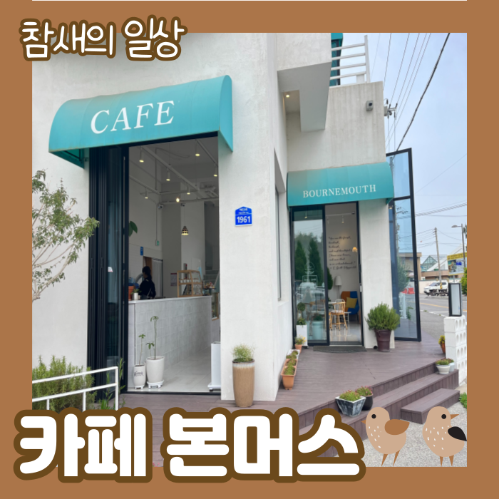  주문진 '카페 본머스' 아들바위 공원 바로 앞 귀여운 카페 /더 글로리 촬영지