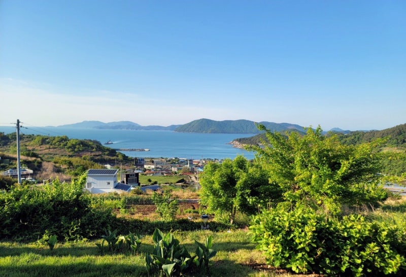 사진 3