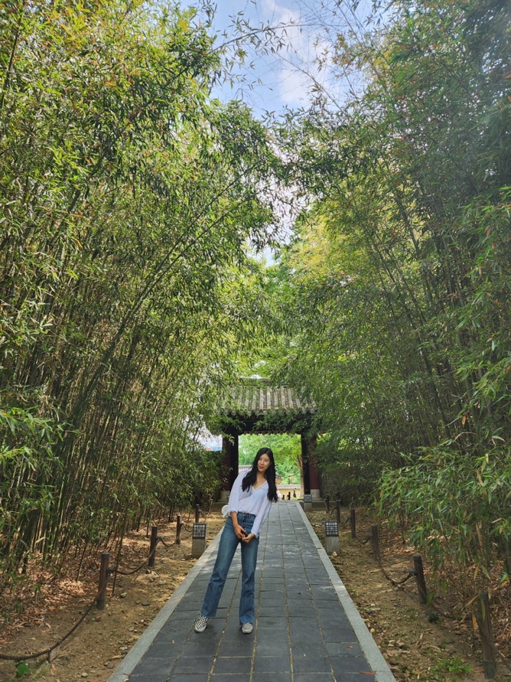  전주 1박2일 여행 전주관광호텔 꽃심, 나들벌, The마시랑게 카페