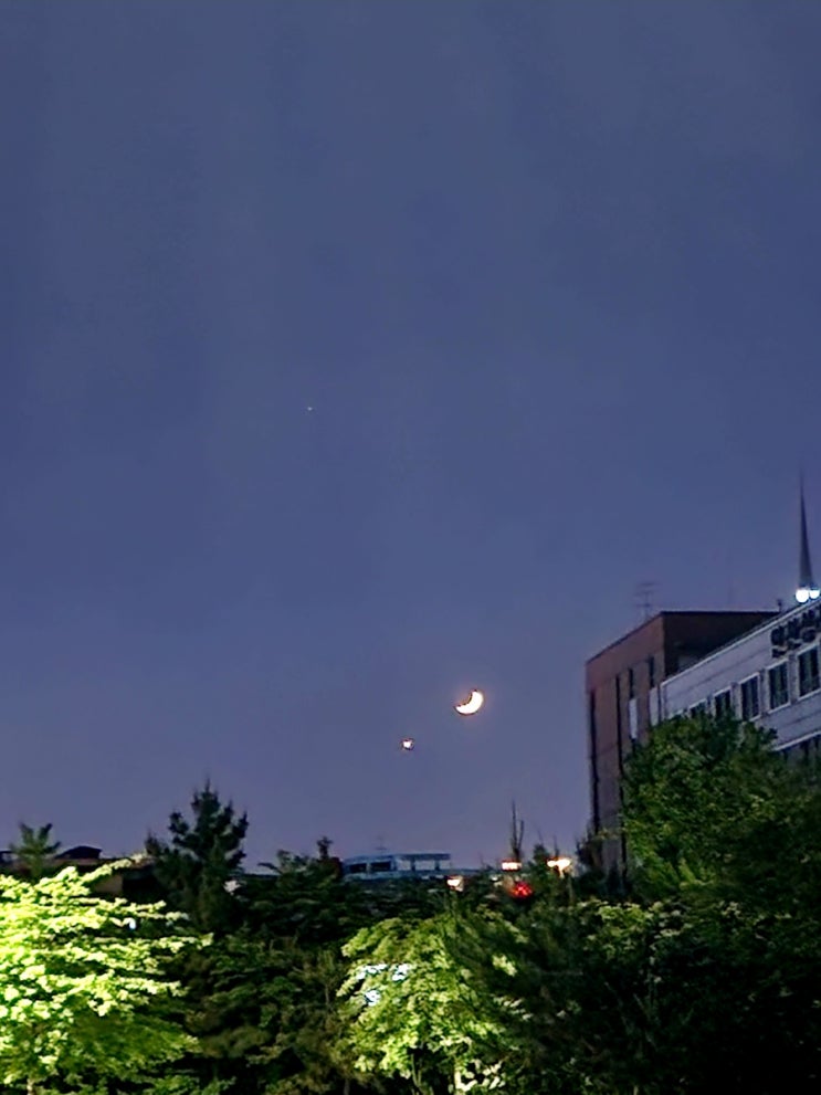  달.
