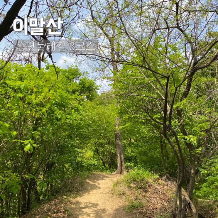  은평둘레길 3코스 이말산묘역길~진관근린공원~화의군이영묘역~은평한옥마을