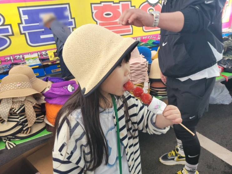  2023 마산 진동 미더덕축제에서 돈뿌리고 온 썰~