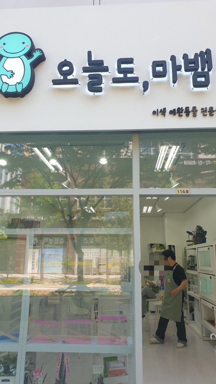 김포 오늘도마뱀 이색 애완동물