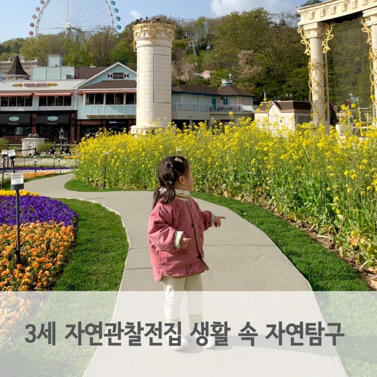  자연관찰전집과 함께하는 생활 속 자연탐구시간