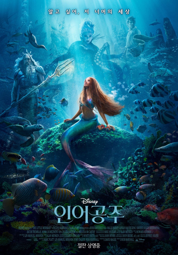  디즈니 애니메이션 영화 인어공주 리뷰 별점 1점도 아깝다