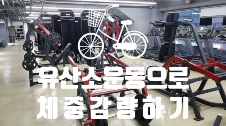  [탄현 헬스장][탄현동 gx][탄현 줌바] 유산소 운동을 통해 체중감량하기 ><