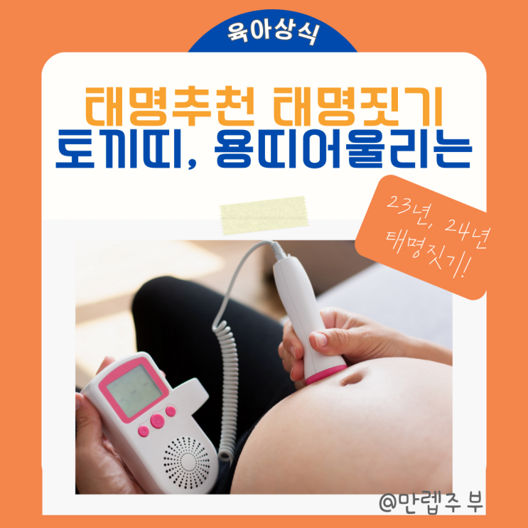  태명 짓기 :: 2023년 흑 토끼띠 2024년 청 용띠 성격 태명 추천