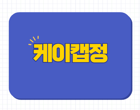 케이캡정 25mg 50mg 성분 효능 효과 부작용 가격