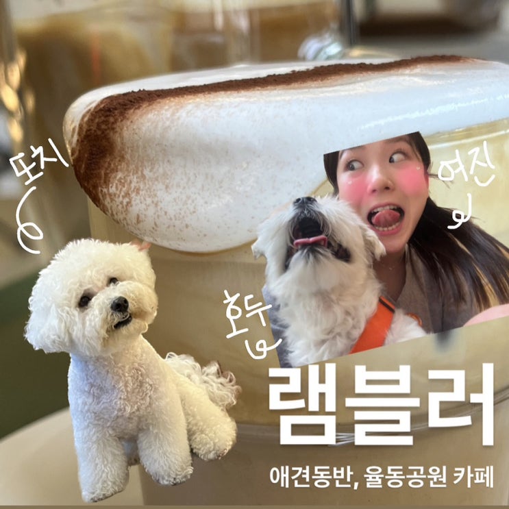  [분당동 카페] 램블러, 또치 또봉이네  좋아하는 사람들과 … 총총
