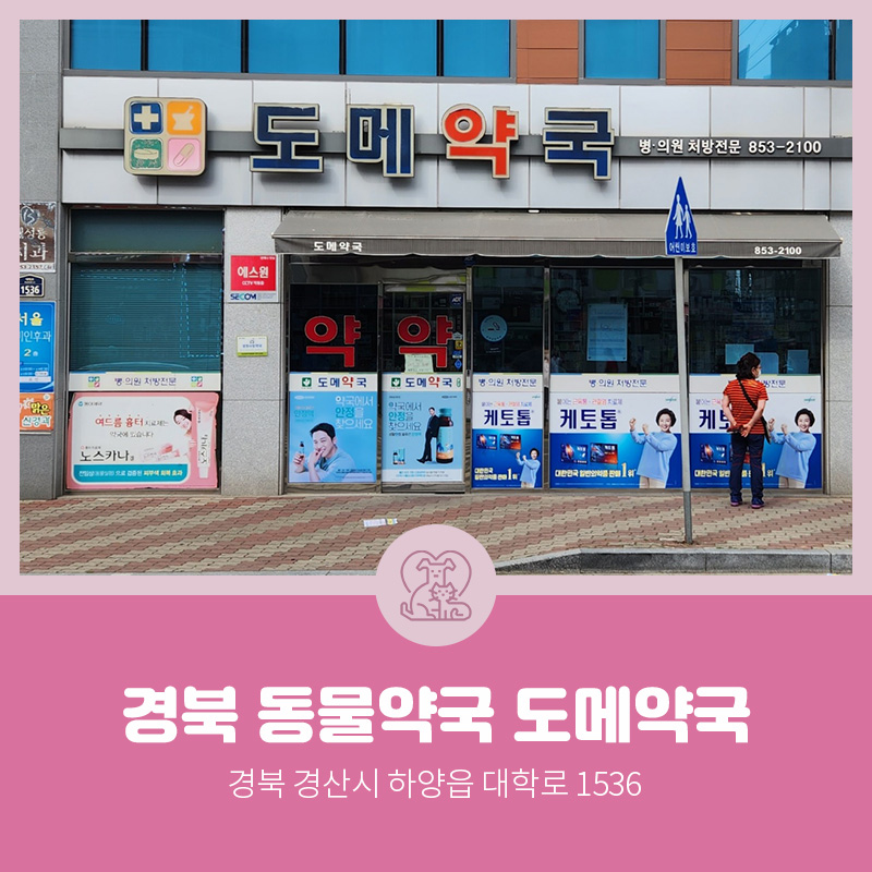 도메약국 사진 1