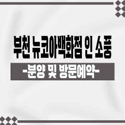  부천 뉴코아백화점 인 소풍 상업시설 상동 터미널 프라자 상가 분양가 아울렛 임대 문의