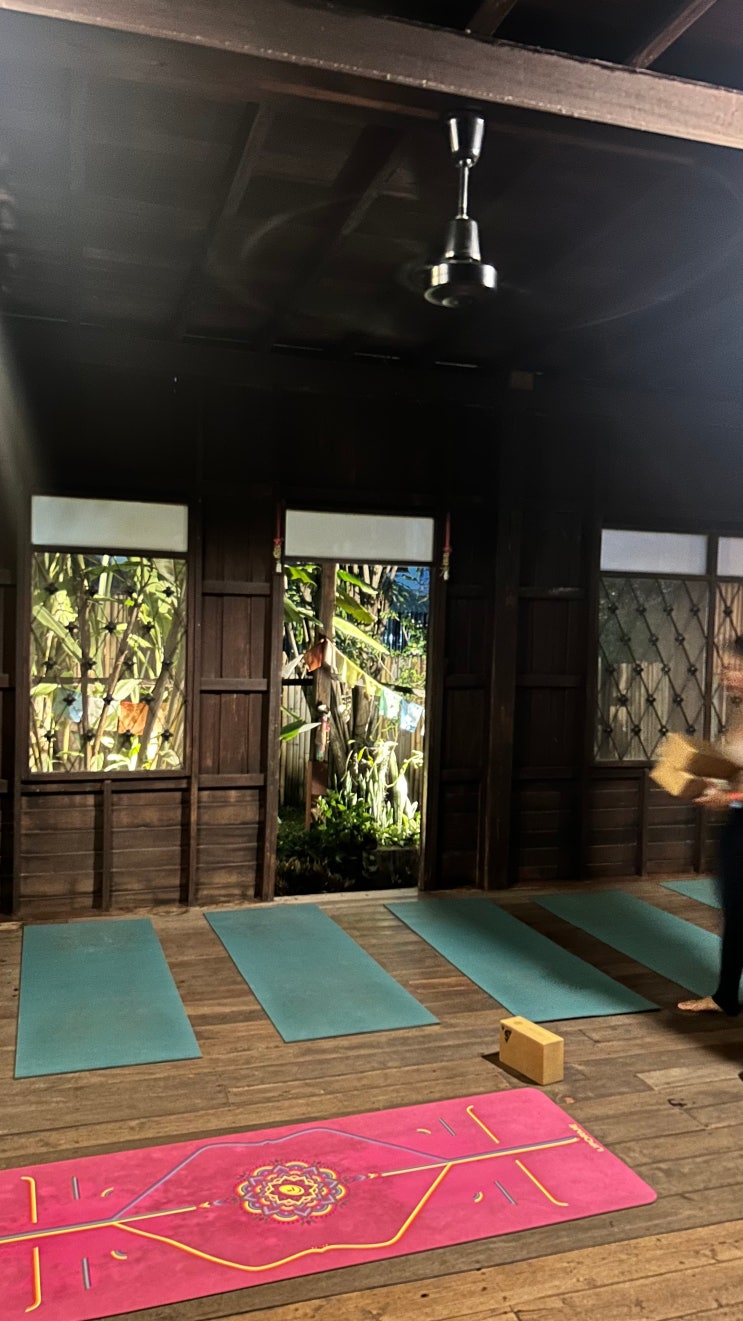  [치앙마이 여행 Day5] 와일드 로즈 요가 Wild Rose Yoga