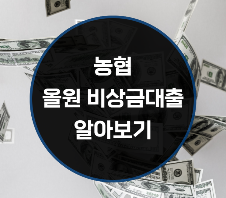  농협 올원 비상금대출 내용은?