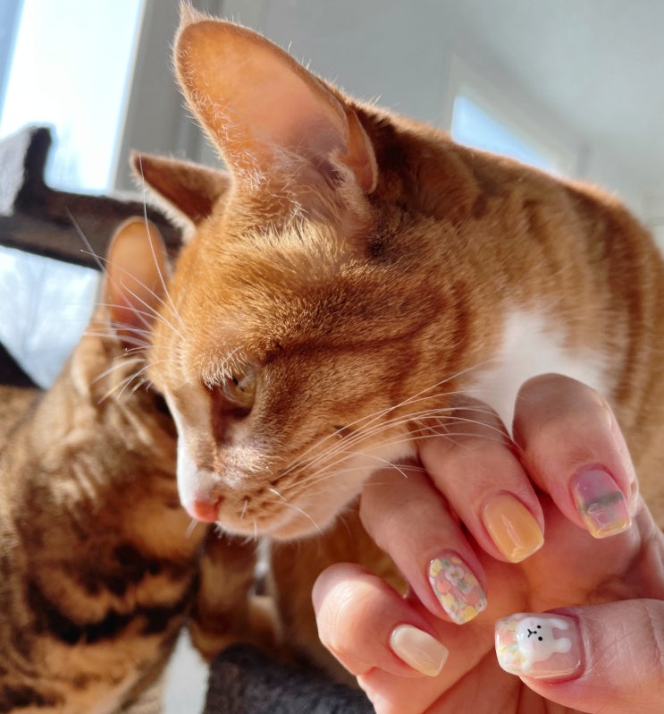 수원 인계동네일 Nail LOHA 1년 넘게 다니고 있는 네일샵