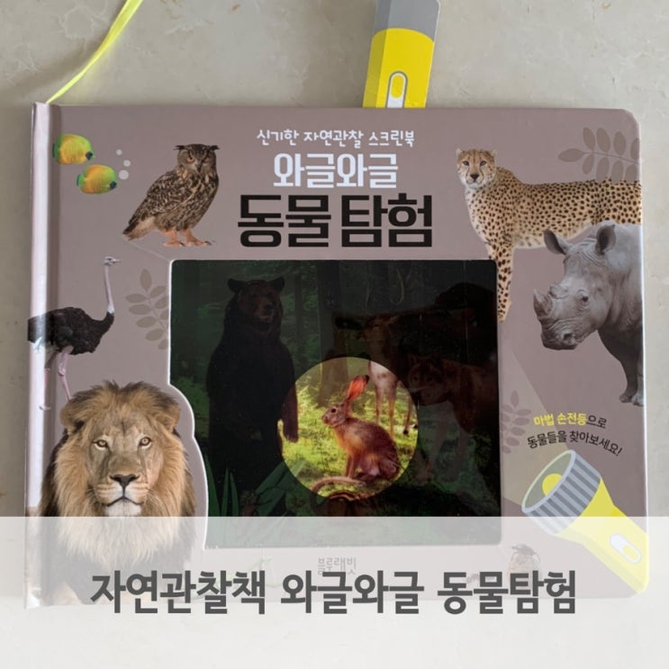  블루래빗 생생자연관찰 스크린북 와글와글 동물탐험