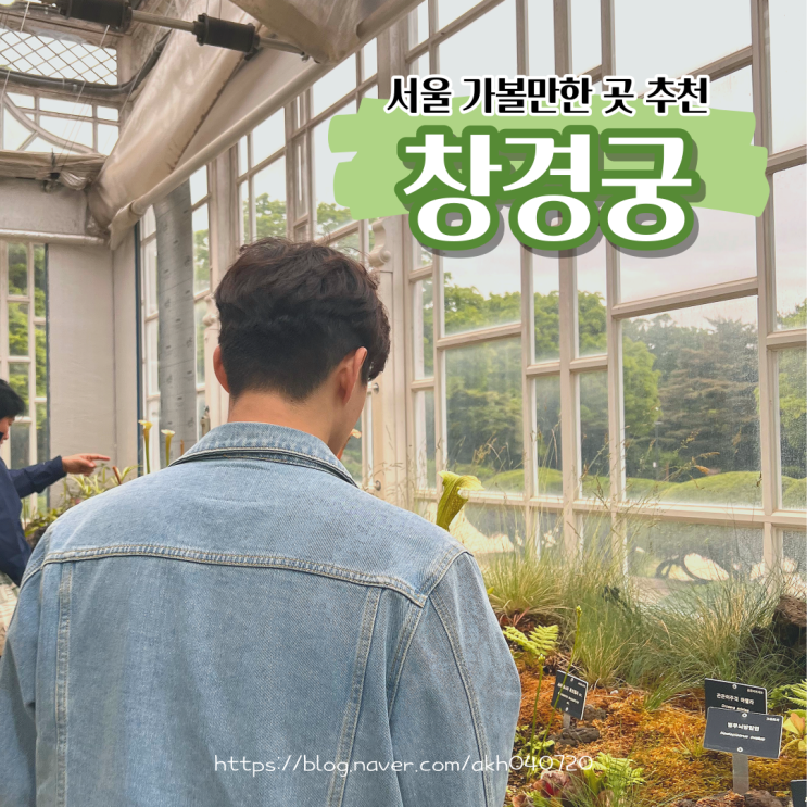  창경궁 대온실 야간개장 예약 서울 나들이 갈만한 곳
