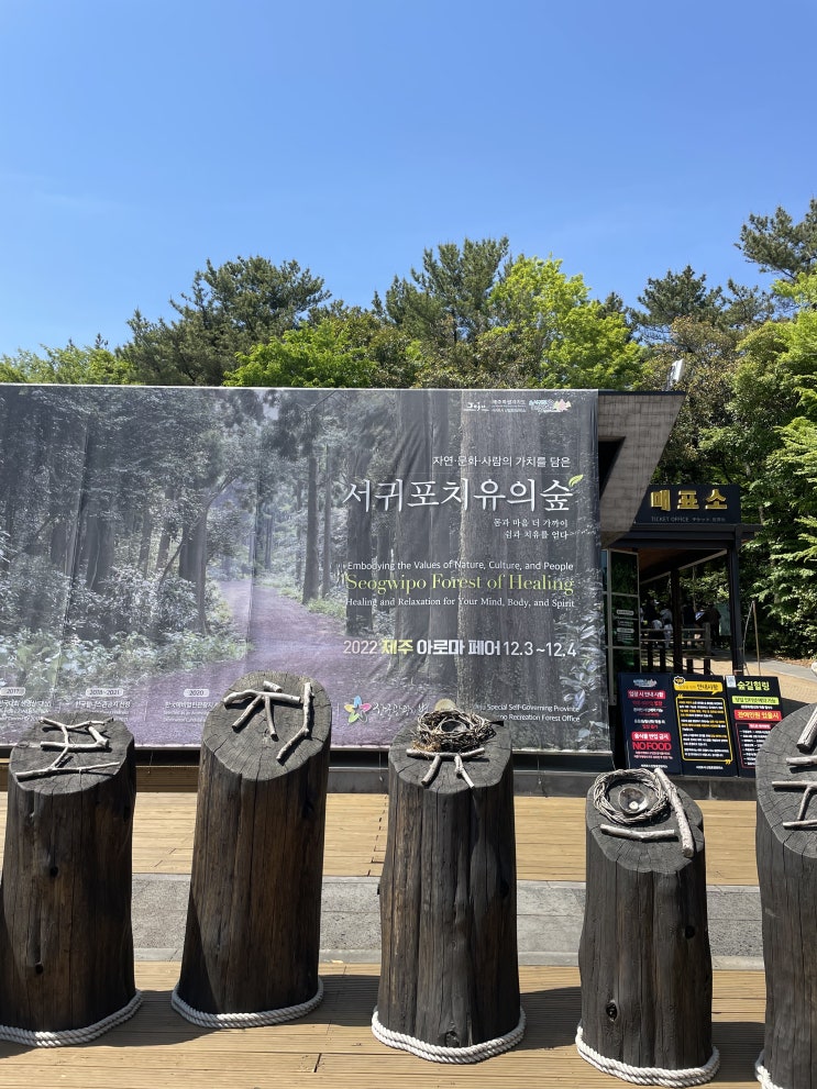  서귀포 치유의 숲