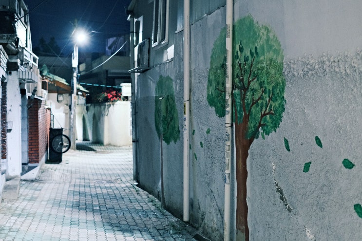 대신동 골목길을 지나 서문시장 야시장까지 대신동 골목길을 지나 서문시장 야시장까지
