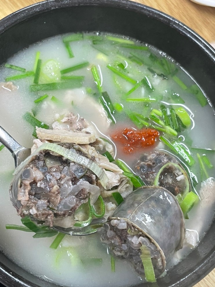  서면맛집, 서면시장 돼지국밥 맛집 포항돼지국밥 국밥러버의 찐 후기