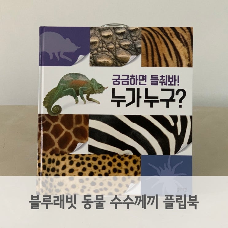  3세 자연관찰전집 동물 수수께끼 놀이 플립북
