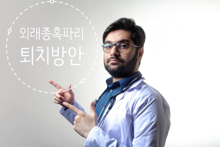  혹파리 새 아파트 출몰 퇴치(TIP 5)