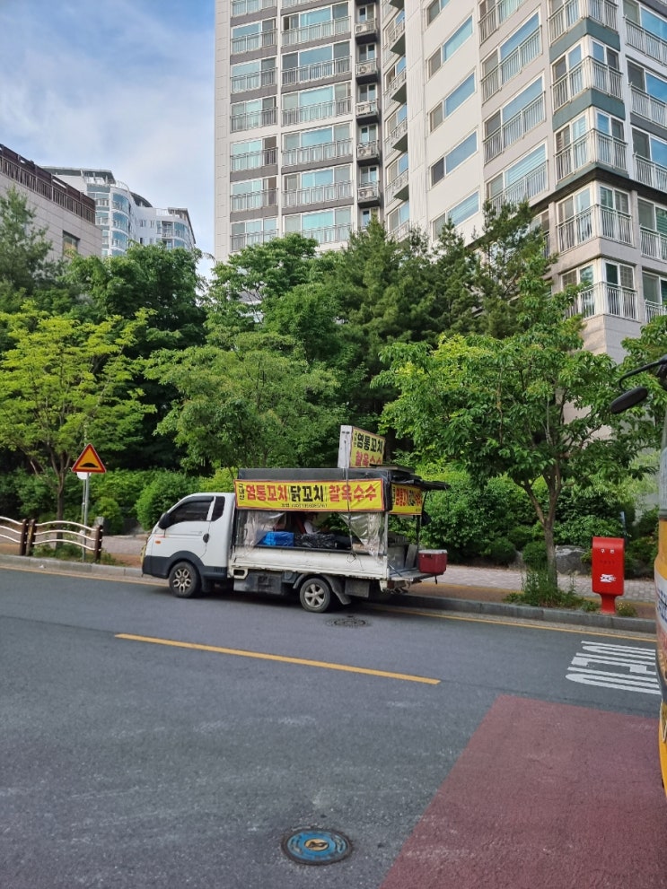  [230525] 주짓수 79회차