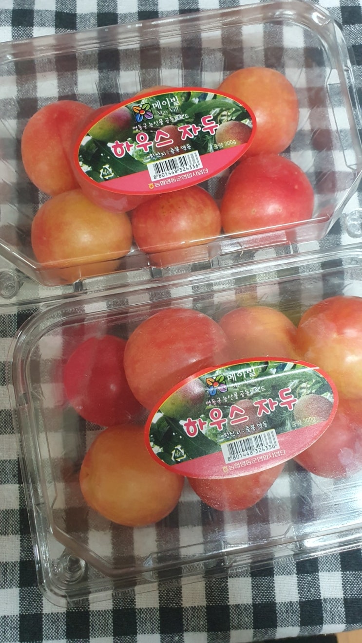 파머스프룻의 꿀같은 대석자두 햇자두로 여름을 더욱 달콤하게! 파머스프룻의 꿀같은 대석자두 햇자두로 여름을 더욱 달콤하게!