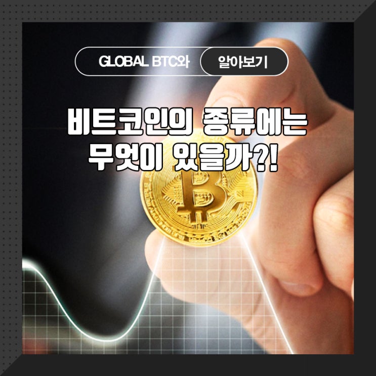  비트코인 종류에는 무엇이 있을까?