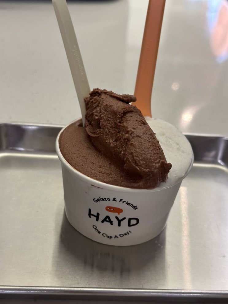  정자역 | 헤이드 젤라또 아이스크림 맛집 