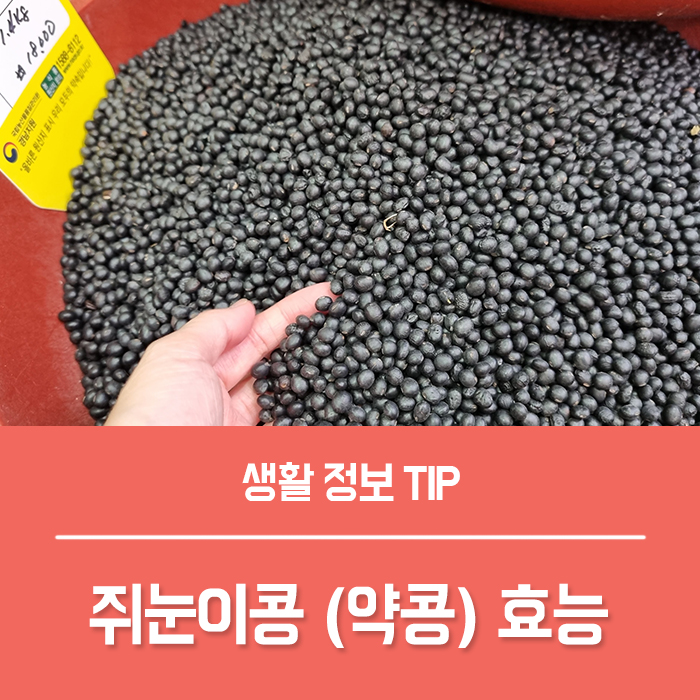  쥐눈이콩 효능 BEST6 약콩 먹는법