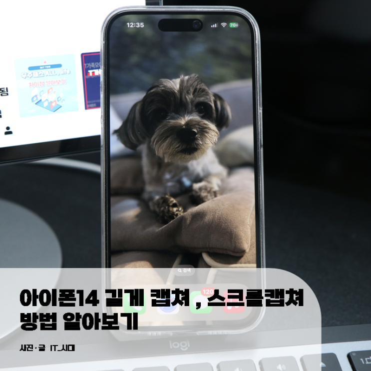  아이폰 14 화면 길게 캡쳐 스크롤캡쳐 방법 알아보기
