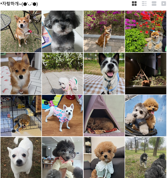  [이벤트] 우리집 아이 자랑하고 선물 받자~!!