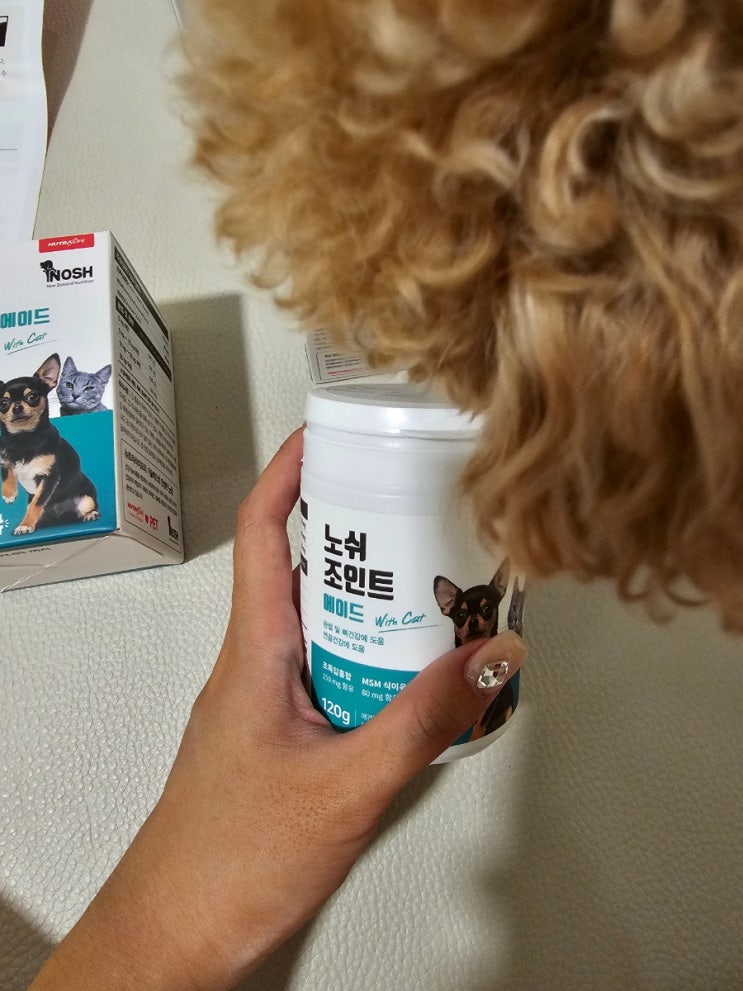  강아지 관절영양제 내돈내산, 역대 영양제 중 기호성 제일 좋은 노쉬조인트