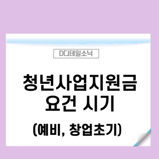  청년사업지원금 유형별 특징 시기 요건(자금 신청 방법 포함)
