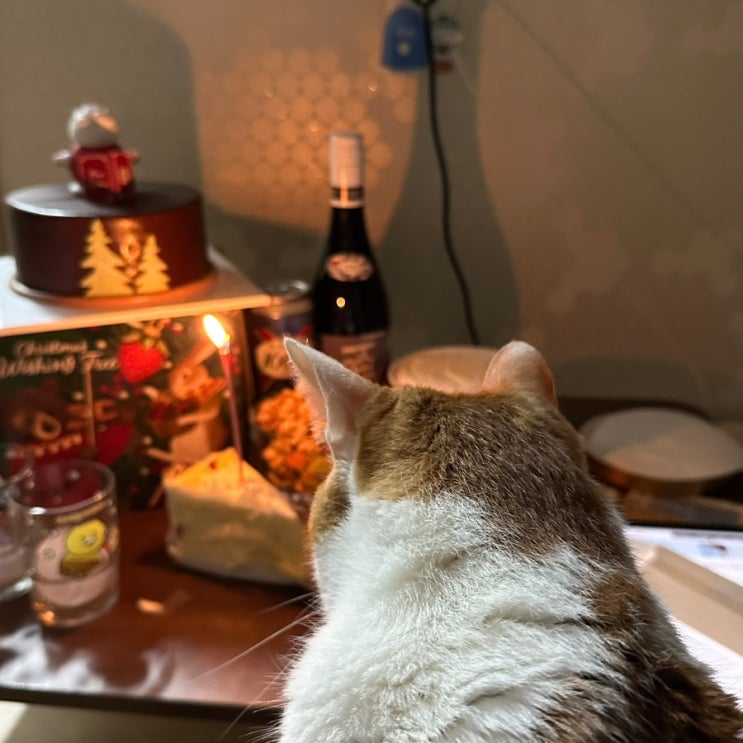  221219~25 먹고 살기