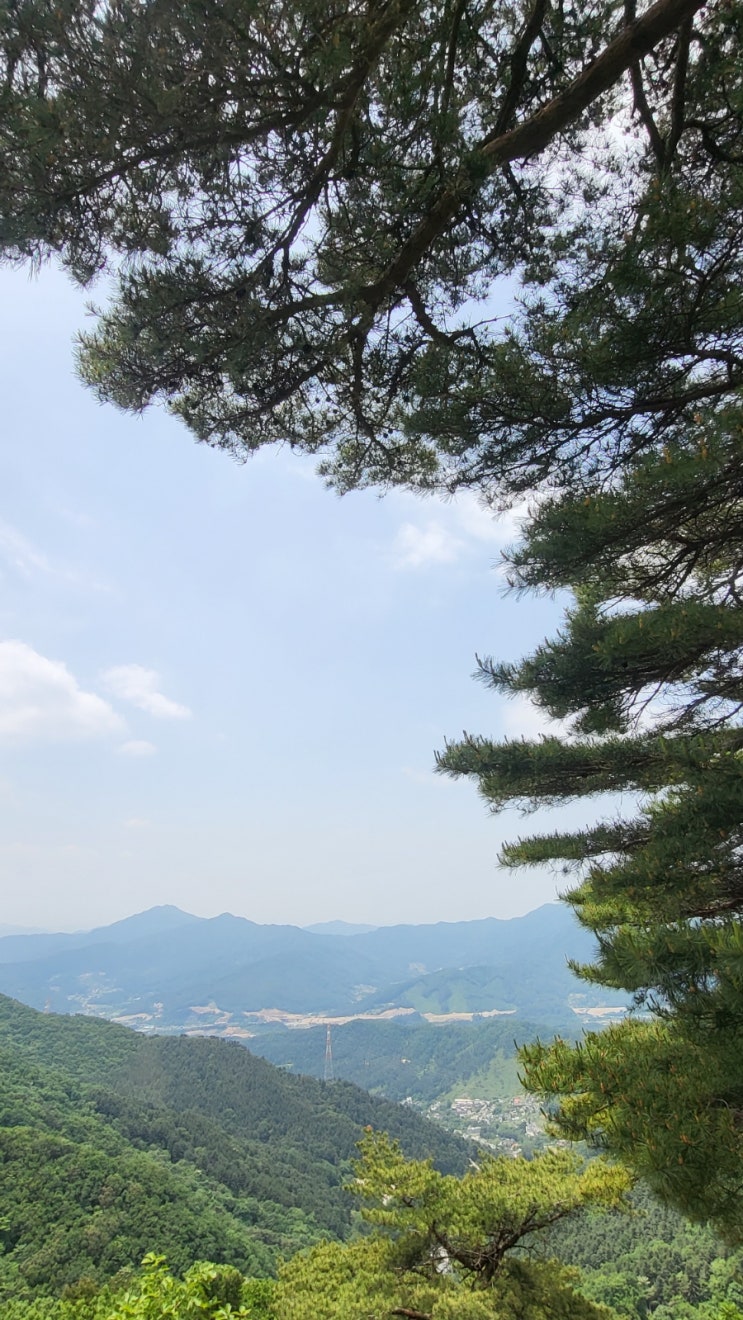  축령산 자연휴양림 전망대