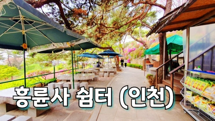  인천 흥륜사 쉼터 애견동반 가능