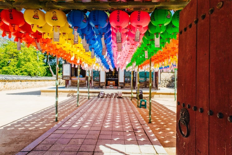 경주 가볼만한곳 대릉원 버드파크 문무대왕릉 불국사 경주여행지 정리 경주 가볼만한곳 대릉원 버드파크 문무대왕릉 불국사 경주여행지 정리