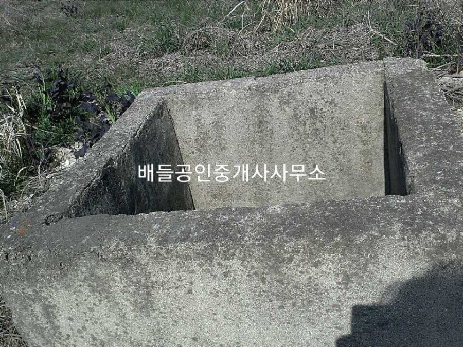 대맥도 사진 3