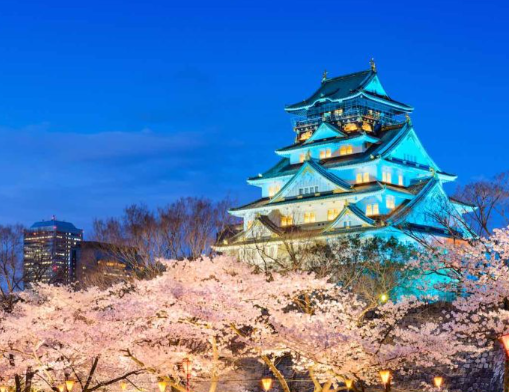 일본 오사카 여행을 간다면 꼭 가봐야할 핫플레이스 TOP 5