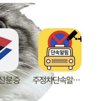  [초보운전 김여진씨] 불법주차, 아마추어 주차 선수권 대회 준비