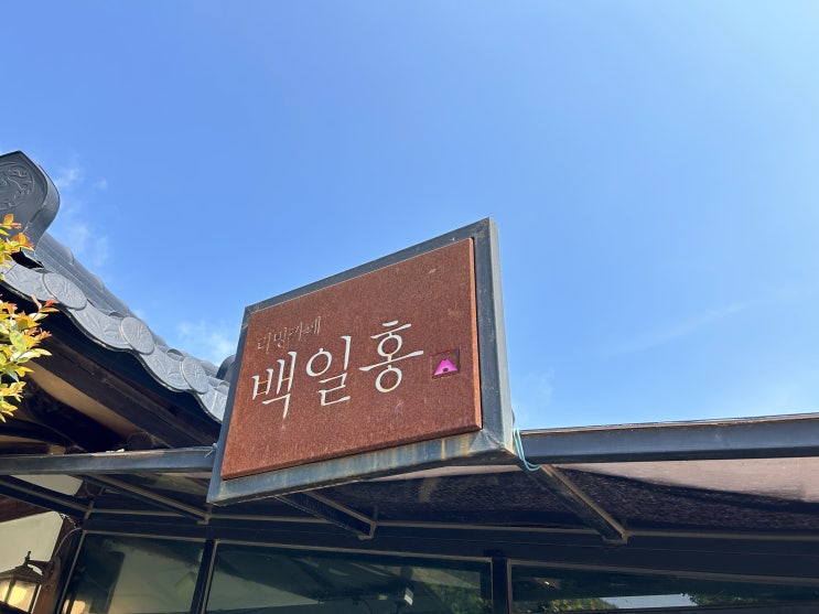  경북 청송 한옥카페 백일홍 후기