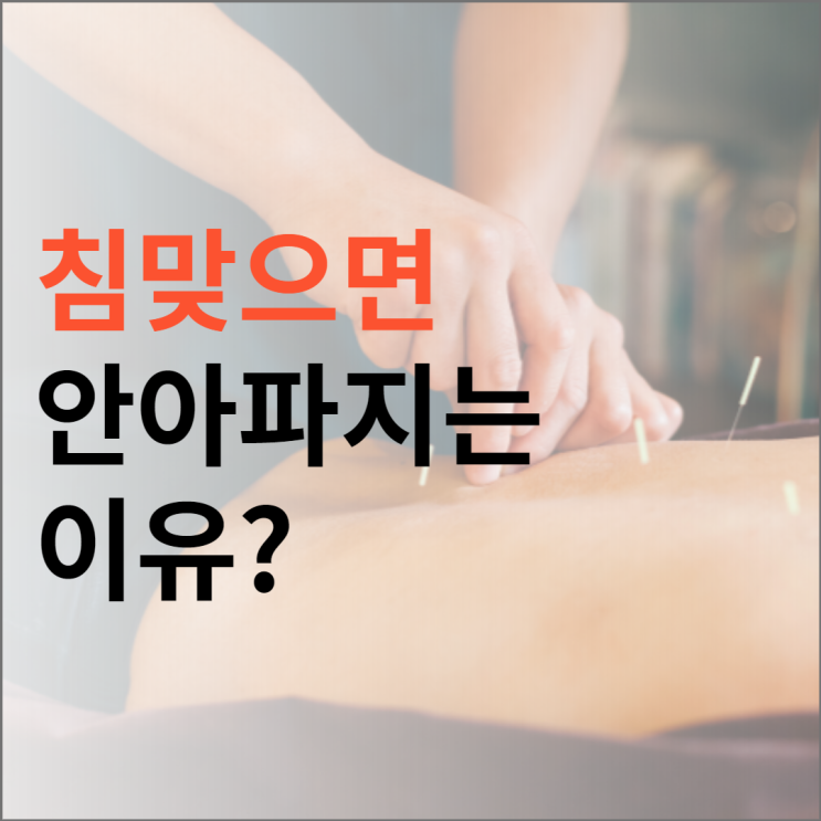 침맞으면 왜 통증이 줄어들까(feat 전침)