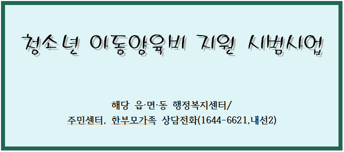 청소년부모 아동양육비 지원 시범사업 청소년부모 아동양육비 지원 시범사업