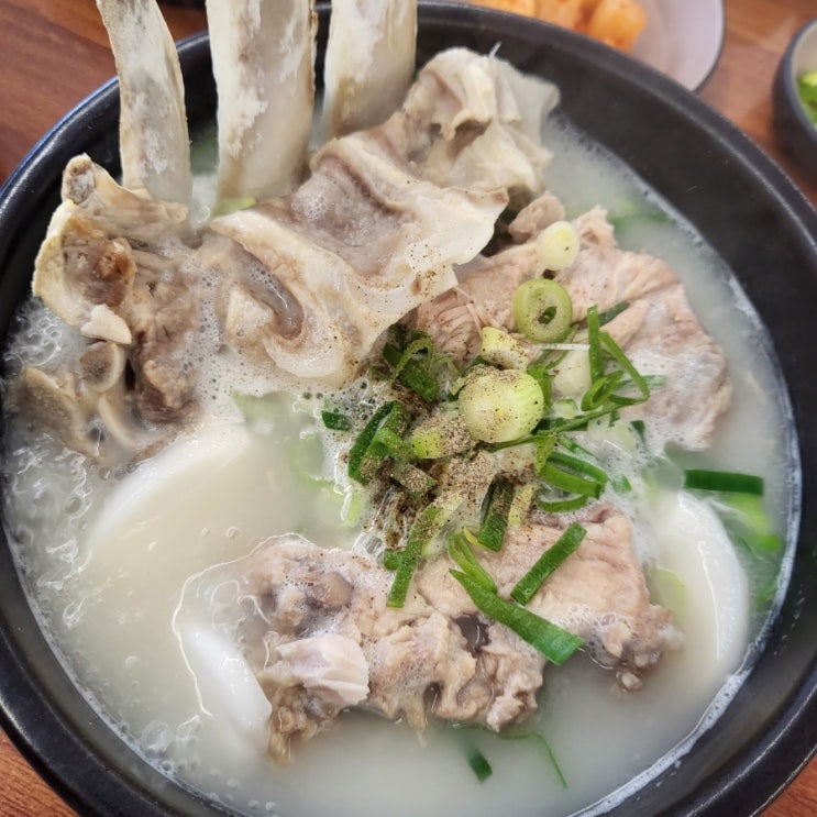  제주 공항 근처 접짝뼈국 '본날' 
