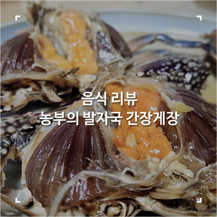  간장꽃게장 선장의식탁 알이 가득 차있던 군산 간장게장 택배 후기
