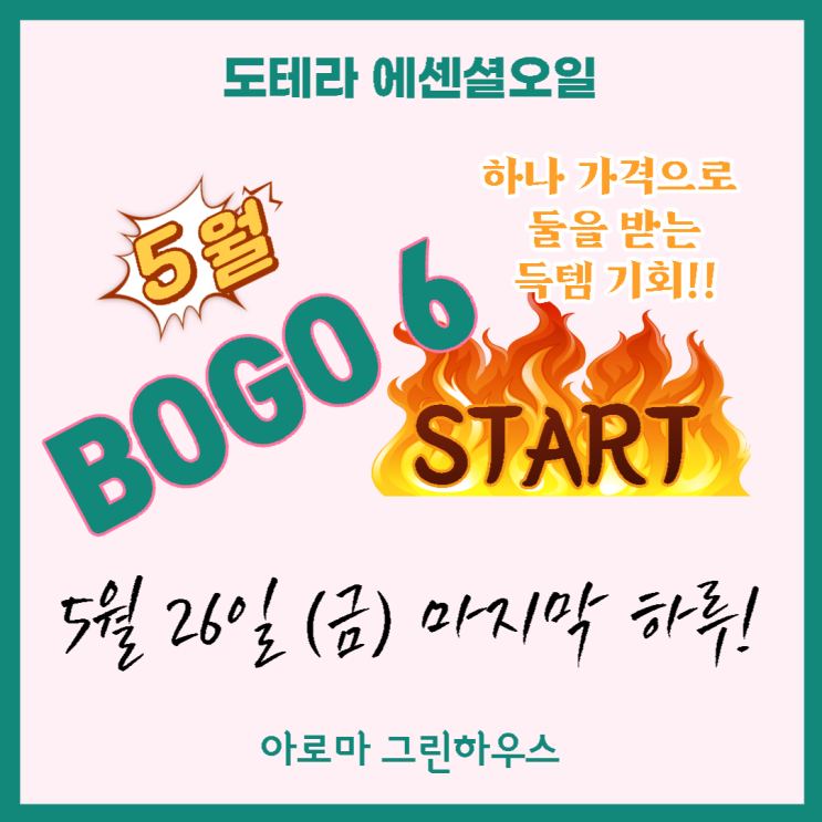  5월 도테라 보고(BOGO)! 오늘 마지막, 놓친 것 get하세요~