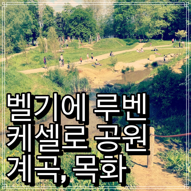 벨기에 루벤 케셀로 공원, 계곡, 목화, 말 벨기에 루벤 케셀로 공원, 계곡, 목화, 말