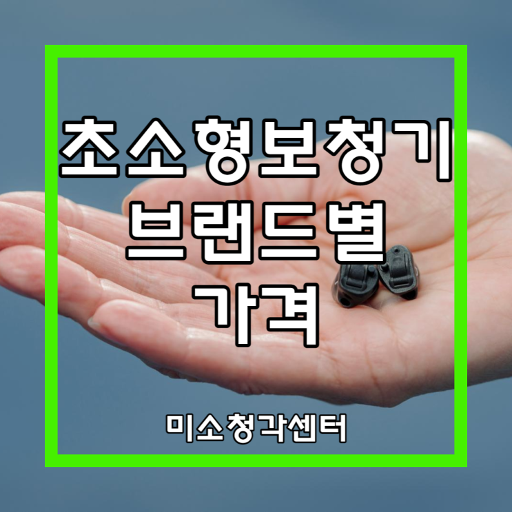 초소형보청기 브랜드별 종류와 가격 알고 구입하자 [포낙 벨톤 오티콘 와이덱스 시그니아 스타키]